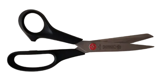 AI: Mundial (removeBg)